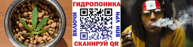 МЕГА tor  Елизово  Canna-Cookies конопля 
