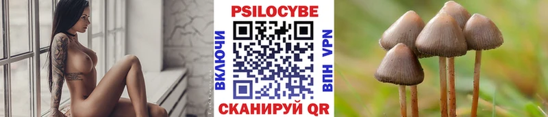 Псилоцибиновые грибы Cubensis  MEGA рабочий сайт  Елизово 