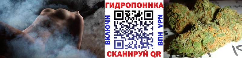 Конопля марихуана  Елизово 